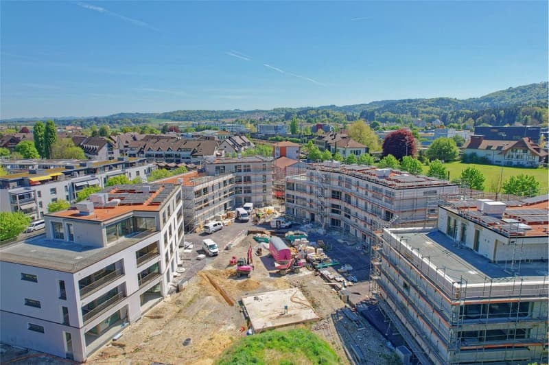 Zu grosses Haus? Willkommen im VIERMOOS (1)