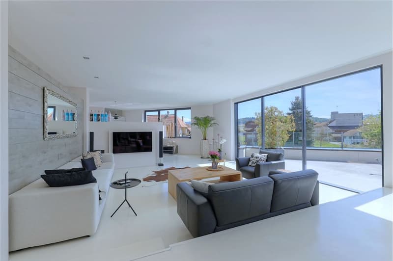 Exklusive, topmoderne 5½-Zimmer Attikawohnung mit grosser Terrasse (1)