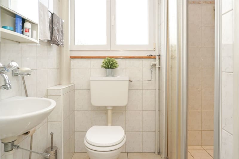 Vielseitiges Dreiparteienhaus mit Garten und attraktiven Nutzungsmöglichkeiten (7)