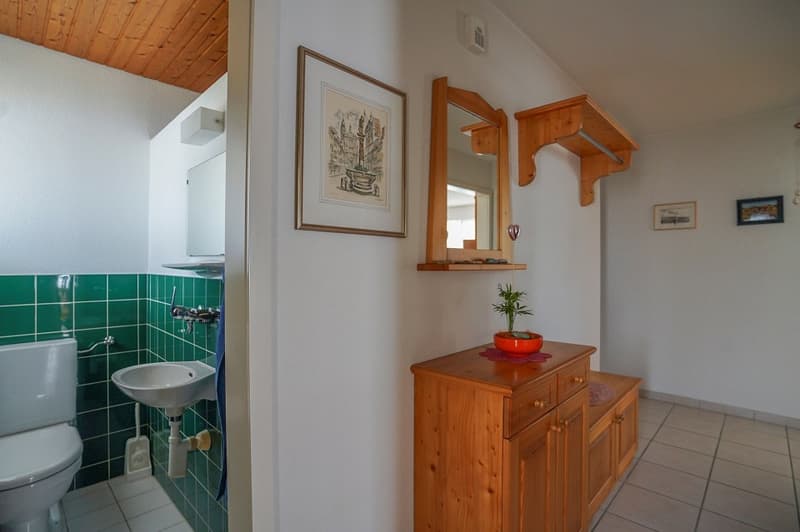 Charmantes Bungalow mit 5½-Zimmer und gepflegtem Umschwung (8)