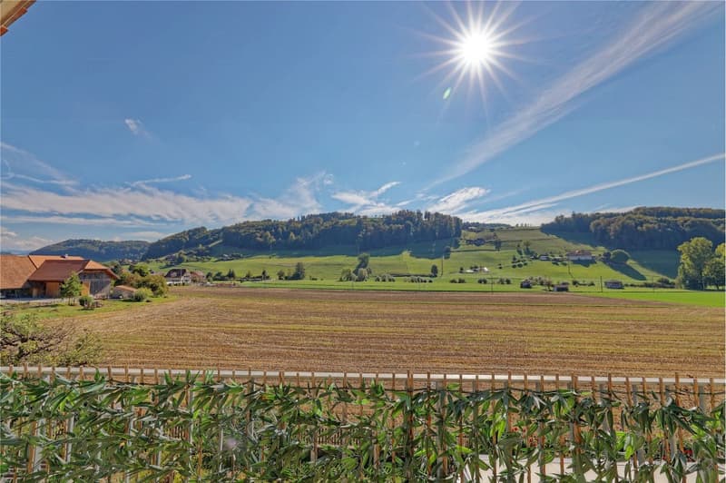 Charmante 3½-Zimmer Eigentumswohnung mit Mansardenzimmer und Garten (6)