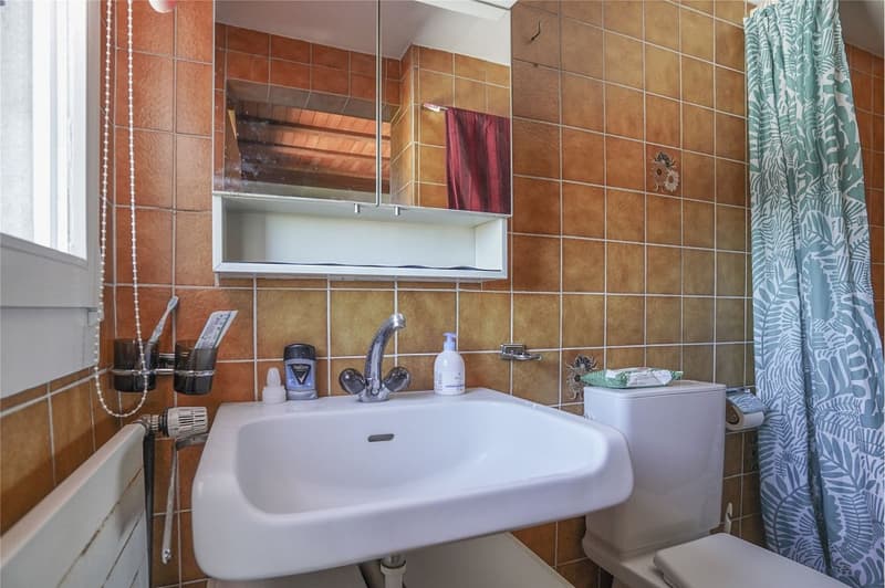 Charmante 3-Zimmer-Dachwohnung mitten im Breitsch (8)