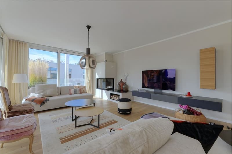 Neuwertige 4½-Zimmer Attikawohnung mit traumhafter Terrasse und Weitblick (5)