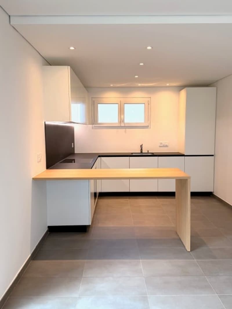 Mesocco, casa moderna di nuova costruzione con vista panoramica (3)