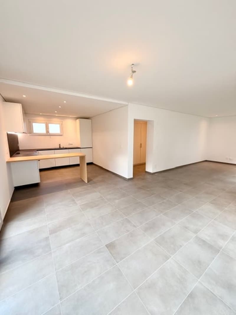 Mesocco, casa moderna di nuova costruzione con vista panoramica (4)