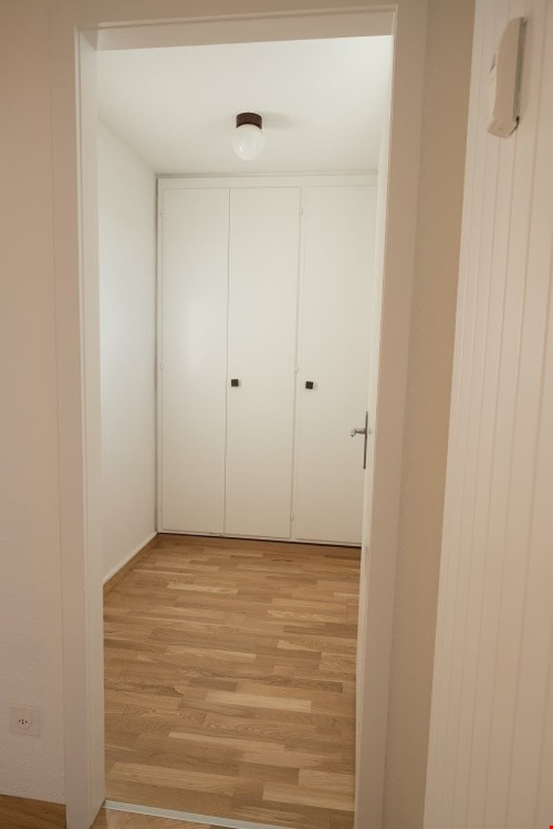 Über den Dächer von Biel wohnen? (9)