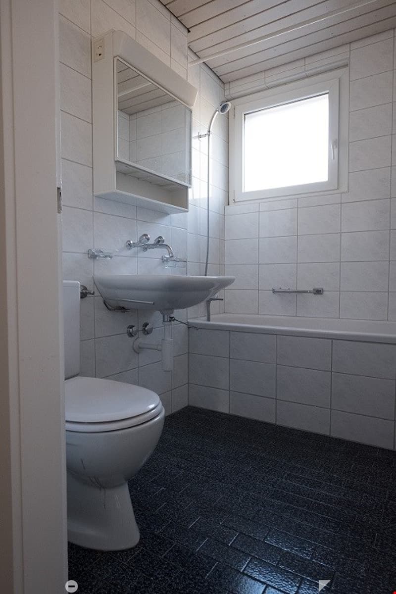 Über den Dächer von Biel wohnen? (6)