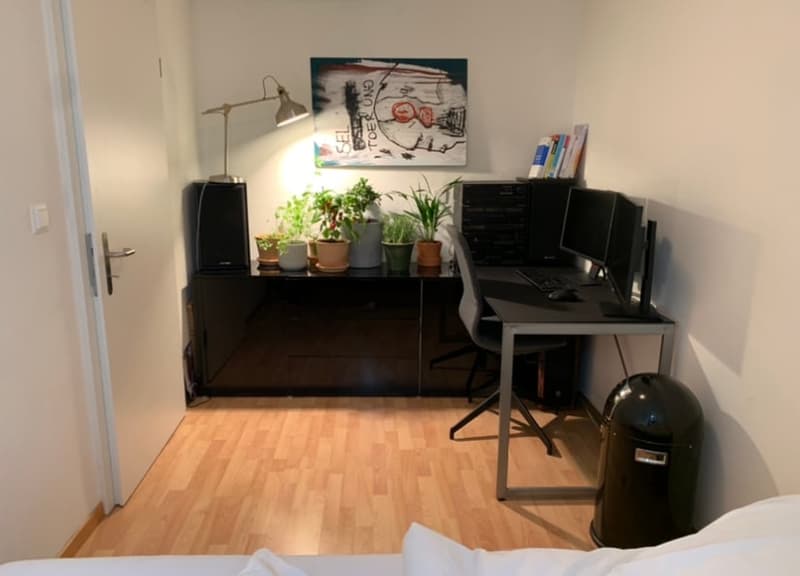 Gemütliche 5.0 Zimmer Wohnung (8)