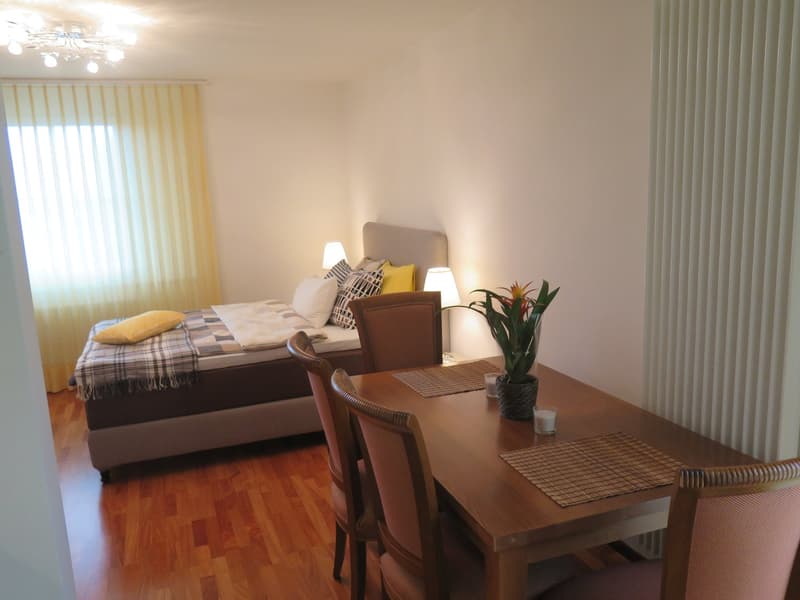 1 Zimmerwohnung mit Terrasse möbliert (5)
