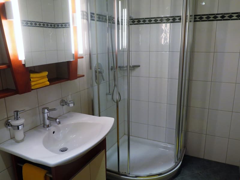 1 Zimmerwohnung mit Terrasse möbliert (8)
