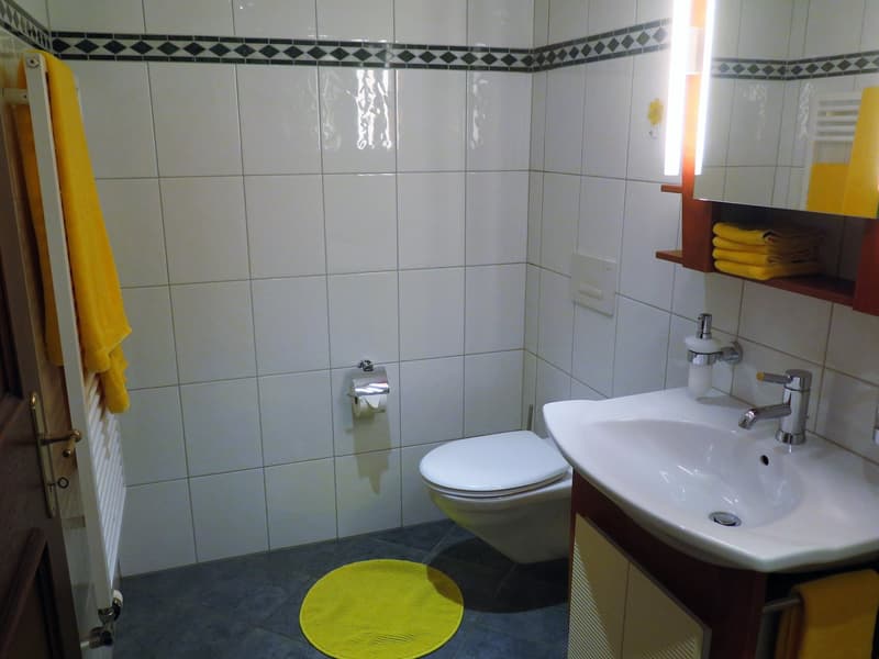 1 Zimmerwohnung mit Terrasse möbliert (7)