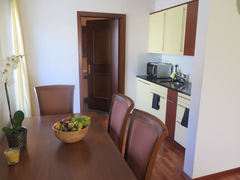 1 Zimmerwohnung mit Terrasse möbliert (4)