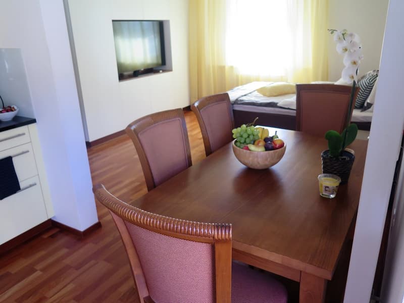 1 Zimmerwohnung mit Terrasse möbliert (3)