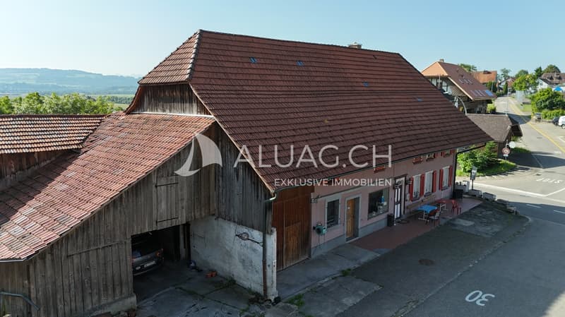 Hier die Ostfassade mit den am Hauptgebäude angebauten Ökonomie-Gebäudeteilen als reine Holzkonstruktion.