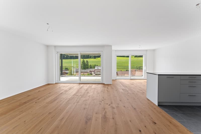 Balcony, Large windows, Sliding glass doors, hardwood floors, clean and minimalistic style
