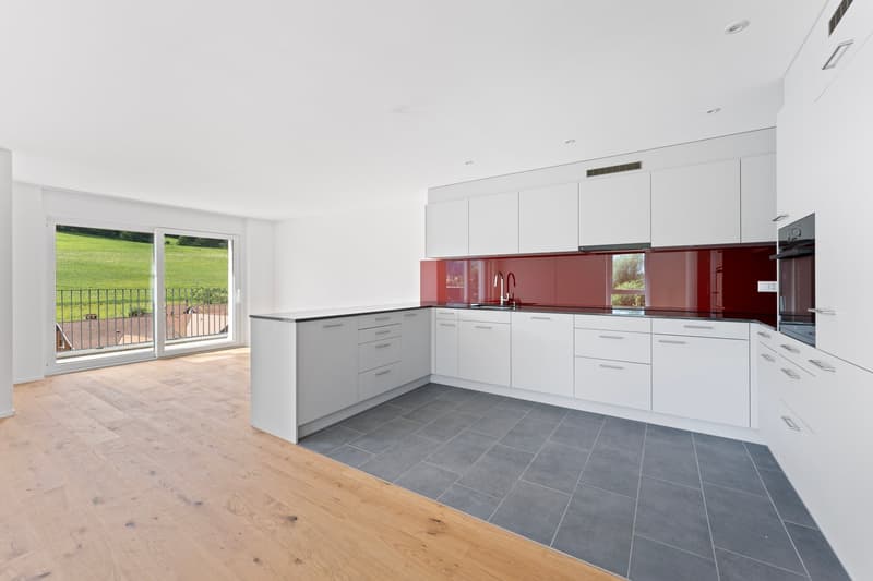Modern kitchen with white cabinets, wooden floor, red splashback, stainless steel sink and faucet, glass door leading to balcony, integrated oven and dishwasher.