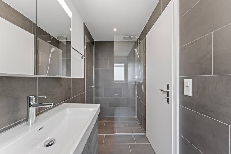 gray tiles, white sink, modern faucet, glass door shower, mirror