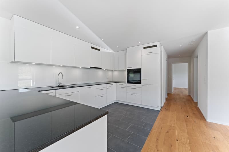 modern kitchen, white cabinets, black countertop, stainless steel sink, built-in oven, dishwasher, granite flooring