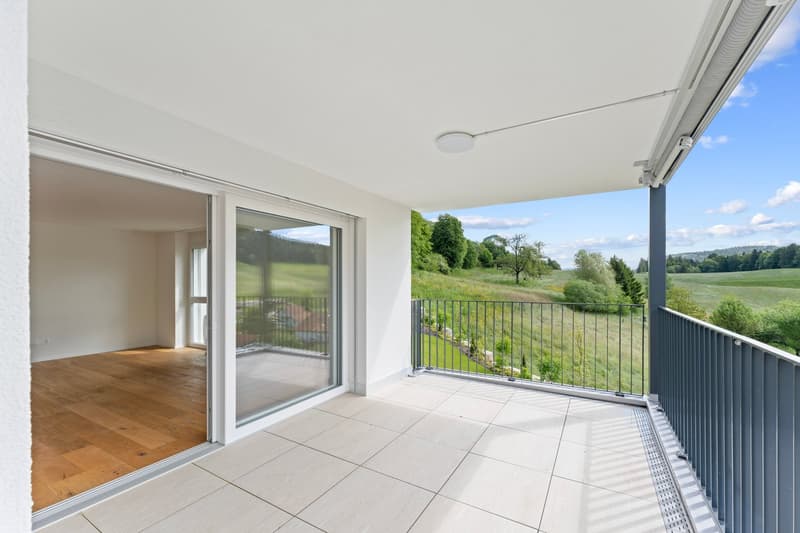balcony with sliding doors, balcony railings, tiled floor, glass wall, wooden floor in room, green field view