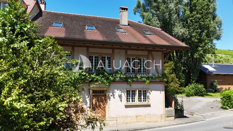 Die geschichtsträchtige Fassade mit den grossen Fenstern und den Reben