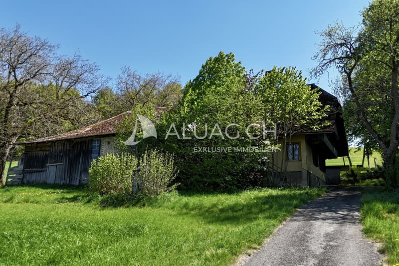 Die Zufahrt zum Hof ist asphaltiert. Die Liegenschaft ist komplett erschlossen.
