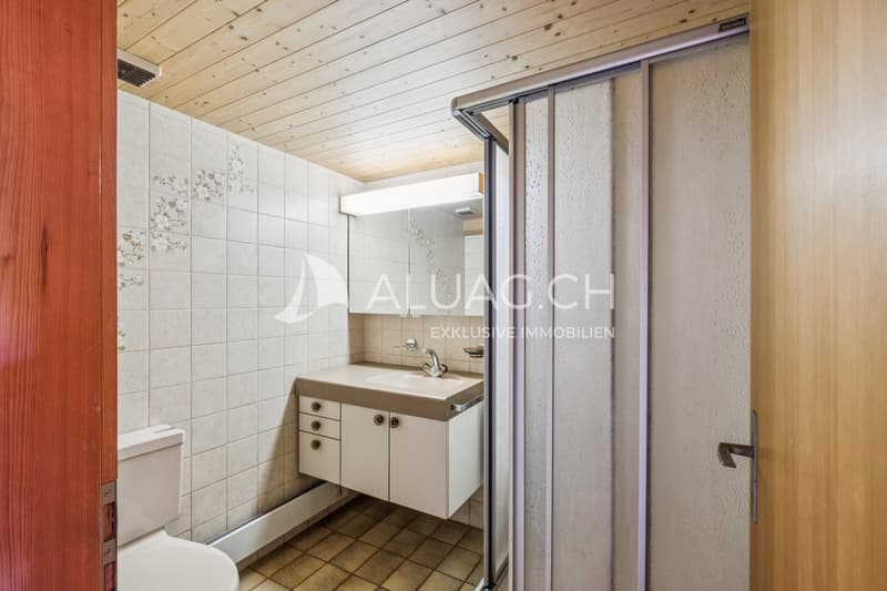 Die Nasszelle mit Dusche und Toilette im Erdgeschoss wurde bereits modernisiert