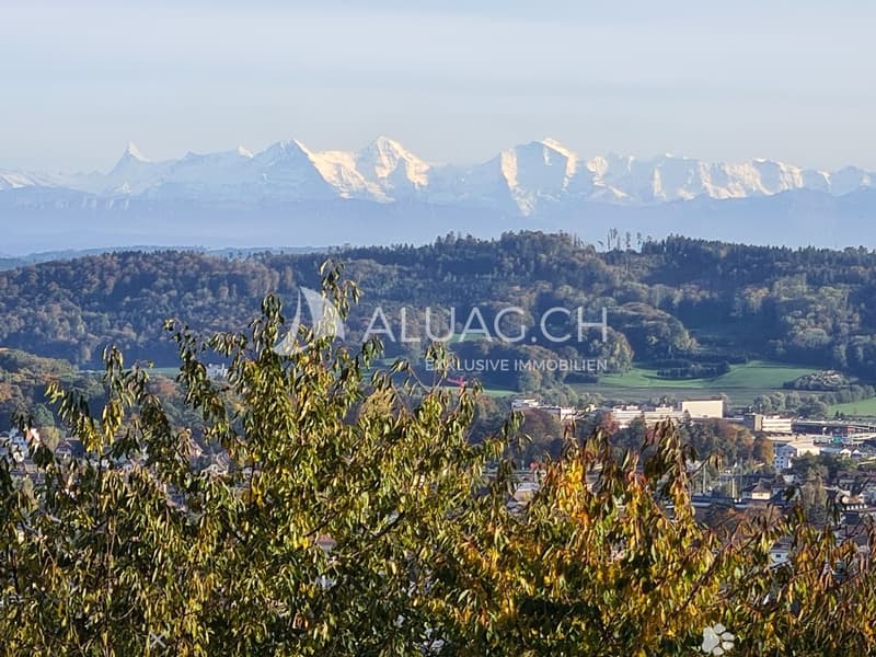 Aussicht auf die Alpen