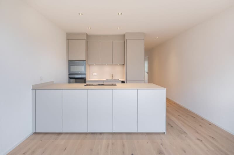 Neubau - exklusive 4.5-Zimmer-Maisonette mit 157 m² Wohnfläche in Zauggenried (4)