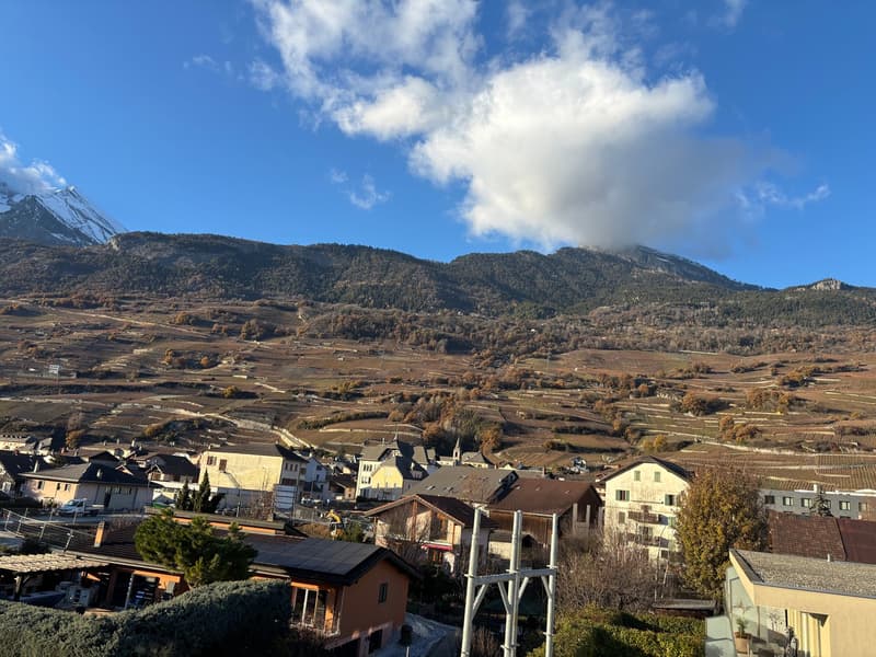 Attique dans immeuble de 5 appartements au coeur du village de Vétroz (18)