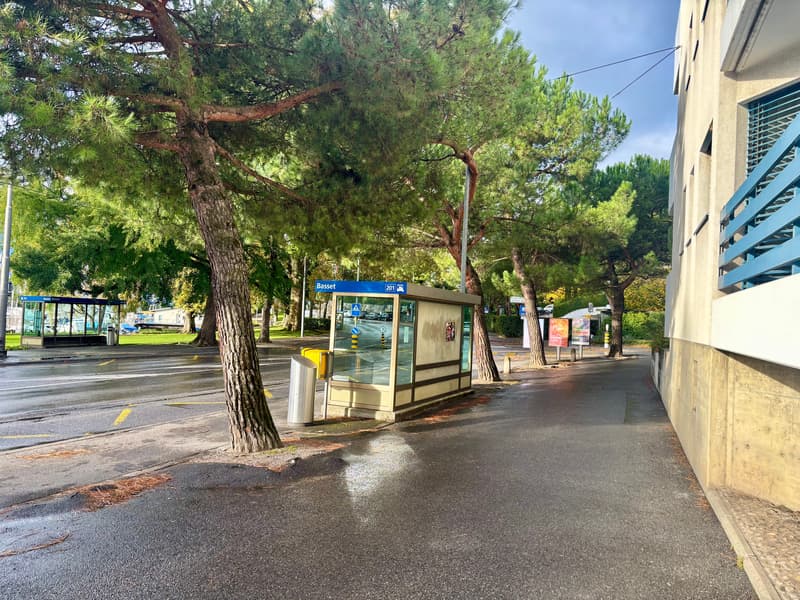 Magnifique appartement de 3,5 pièces avec cheminée à Clarens (18)
