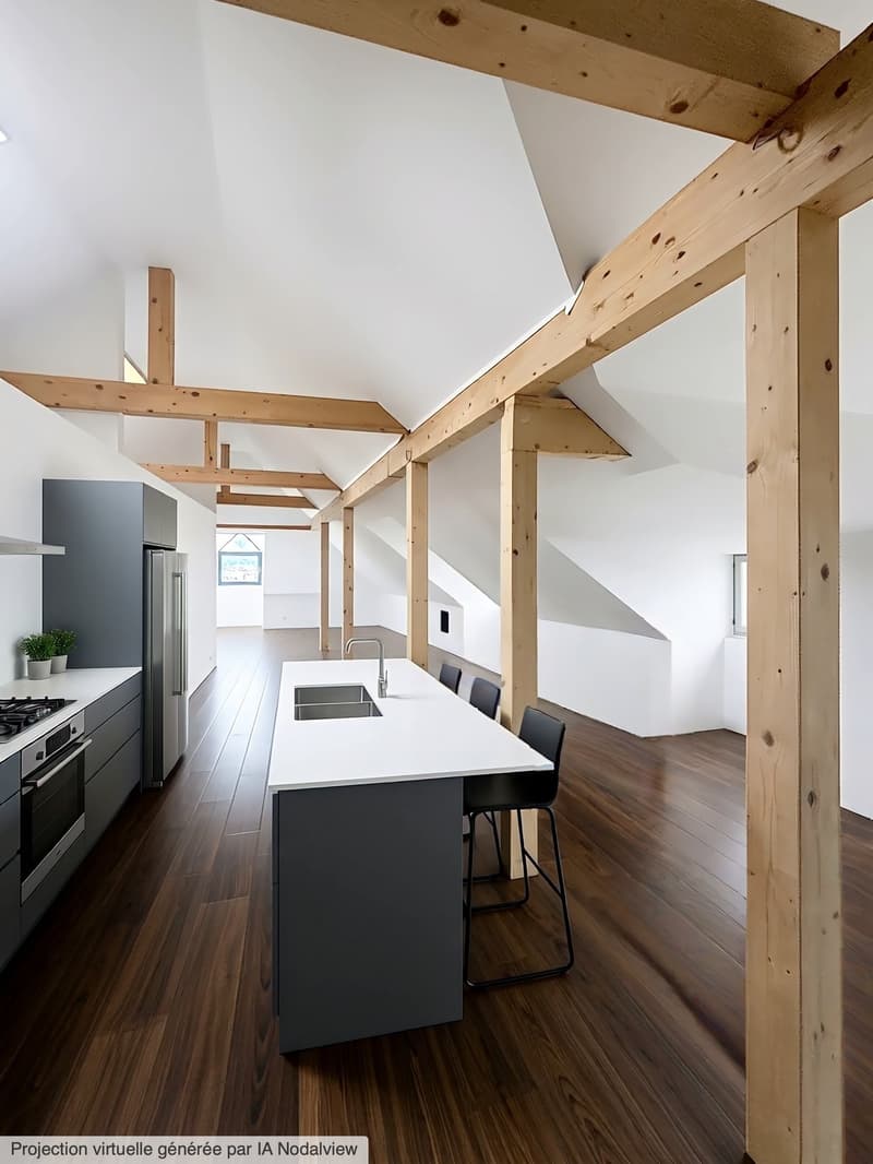 Unique, loft au coeur de la ville de Sion (1)