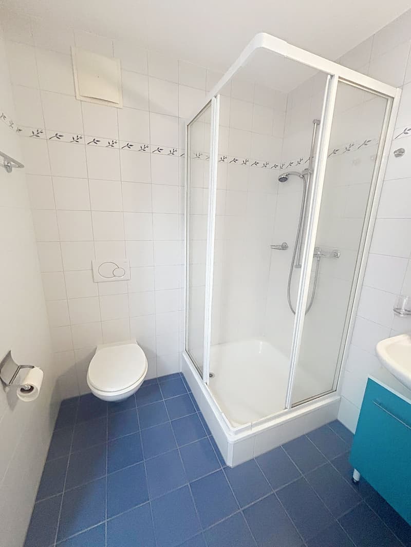 Magnifique appartement de 4,5 pièces avec vue panoramique à Chernex (11)
