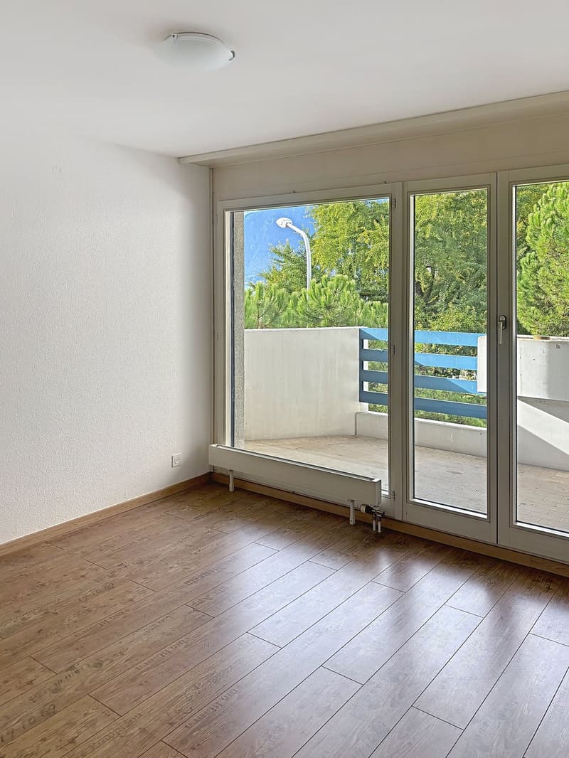 Magnifique appartement de 3,5 pièces avec cheminée à Clarens (10)