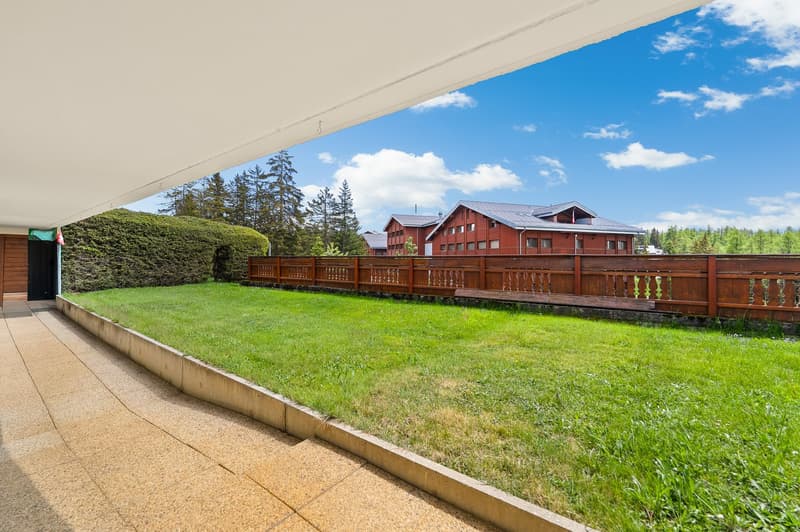 Très bel appartement de 3.5 pièces en rez avec terrasse et jardin (6)
