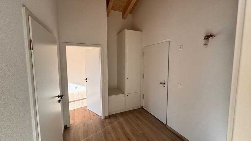 Dernier lot : 4 1/2 et 2 1/2 pièces (à vocation commerciale) (11)