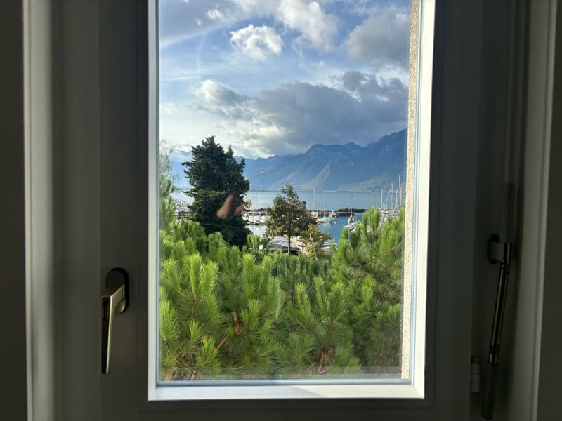 Magnifique appartement de 3,5 pièces avec cheminée à Clarens (8)