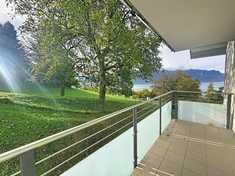 Magnifique appartement de 4,5 pièces avec vue panoramique à Chernex (17)