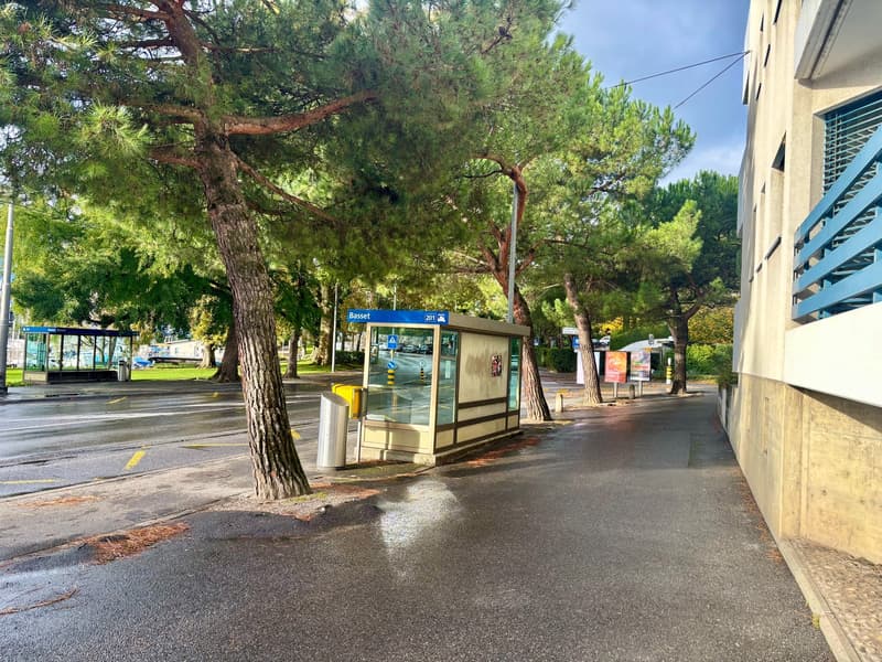 Magnifique appartement de 3,5 pièces avec cheminée à Clarens (18)