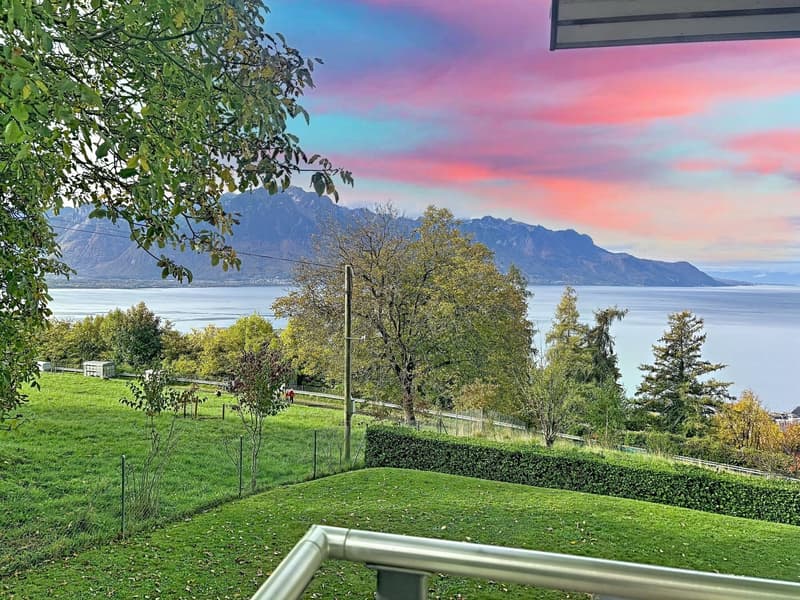 Magnifique appartement de 4,5 pièces avec vue panoramique à Chernex (17)