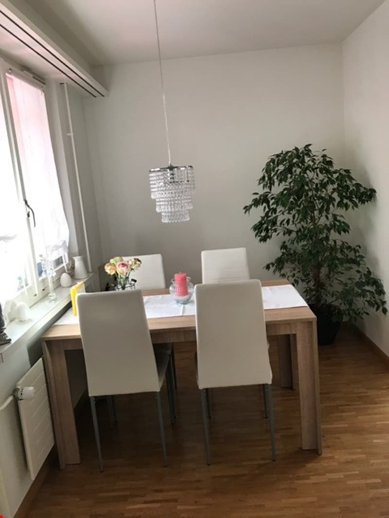 Schöne 3-Zimmer-Wohnung in Flüh (5)