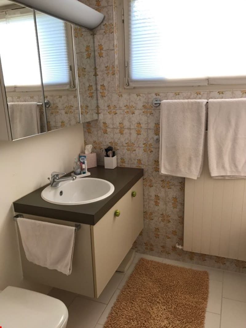 Schöne 3-Zimmer-Wohnung in Flüh (6)