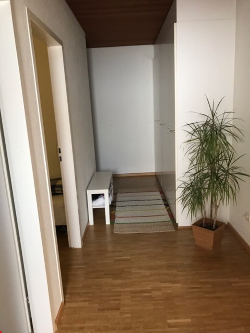 Schöne 3-Zimmer-Wohnung in Flüh (7)