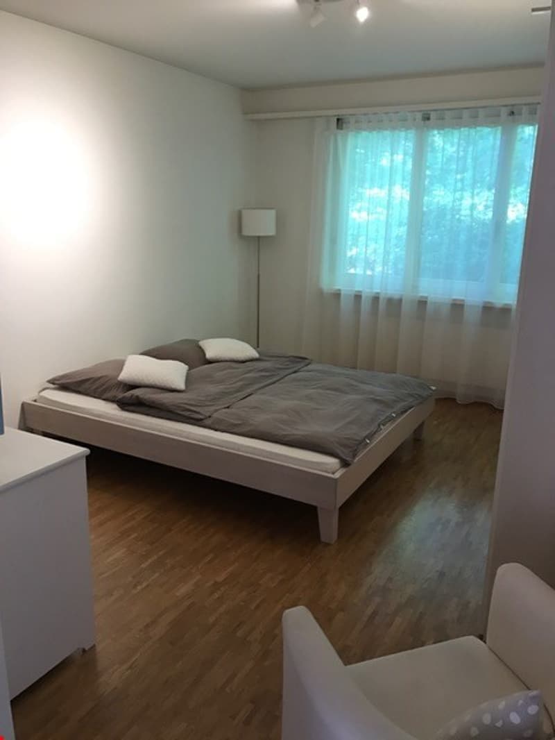 Schöne 3-Zimmer-Wohnung in Flüh (3)