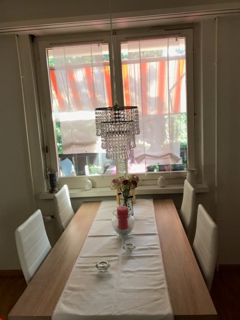 Schöne 3-Zimmer-Wohnung in Flüh (12)
