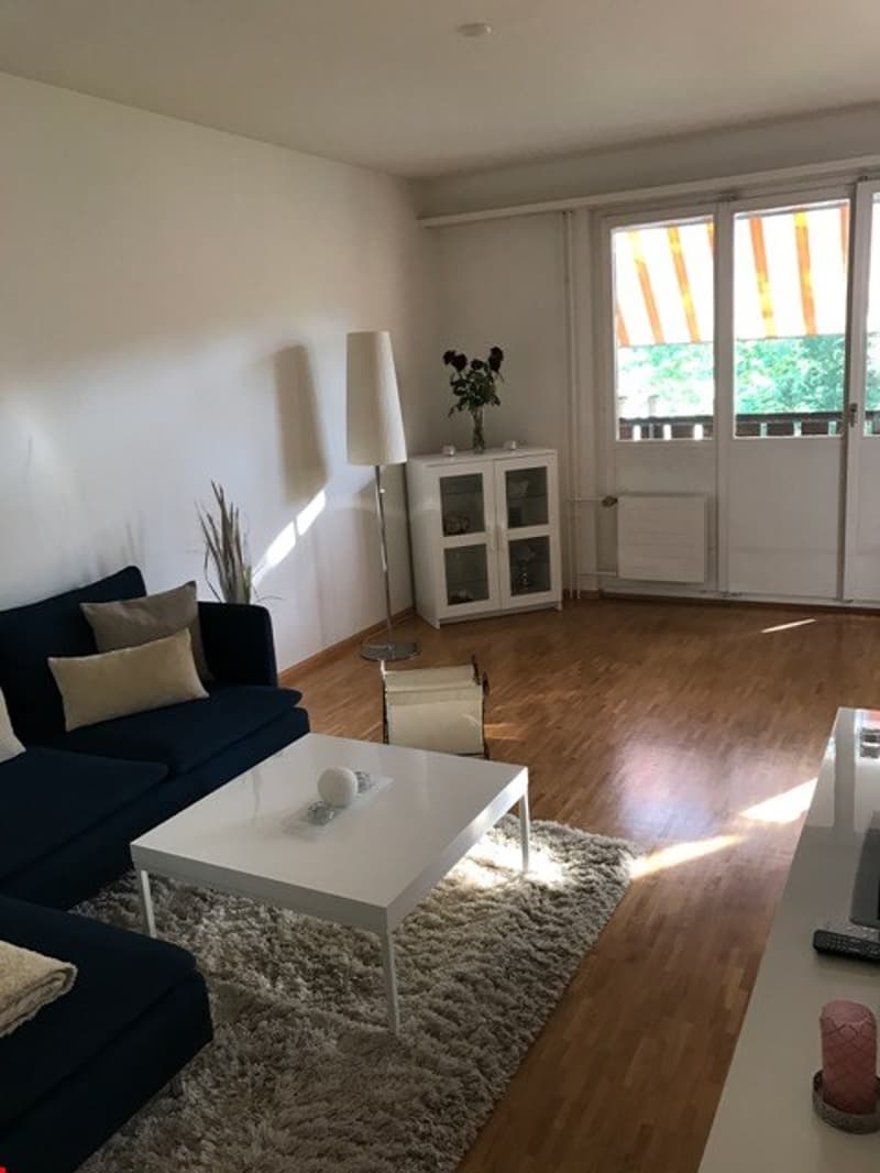 Schöne 3-Zimmer-Wohnung in Flüh (8)