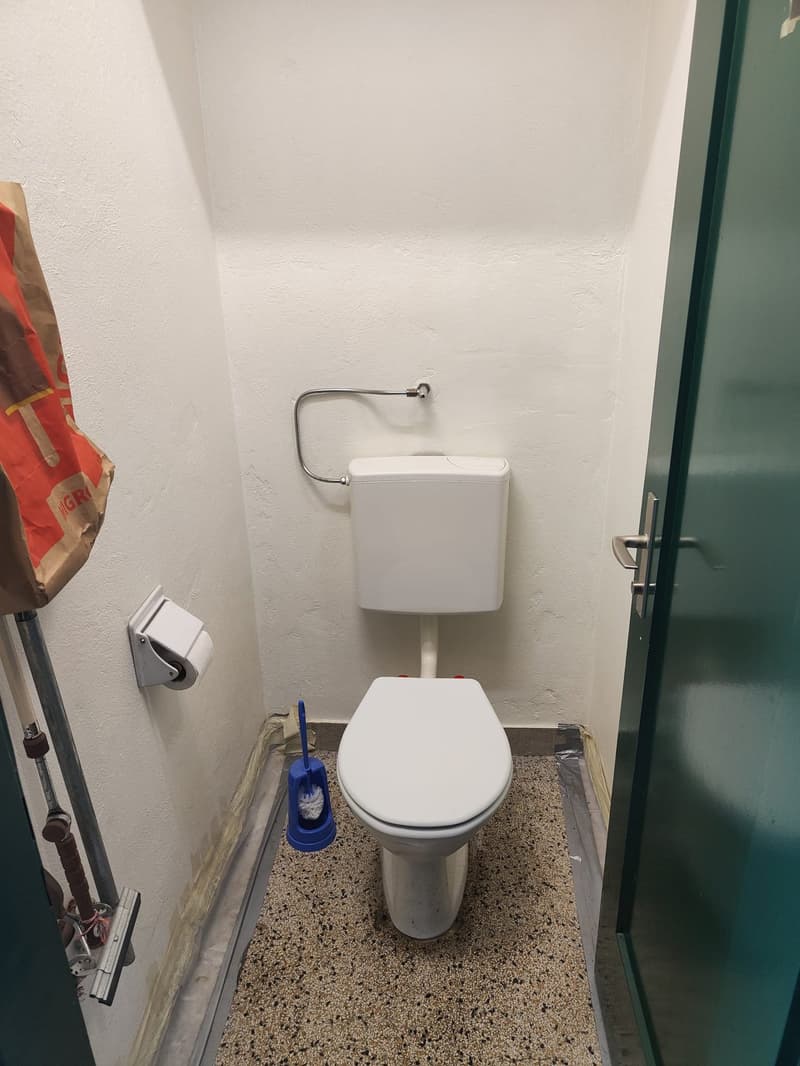 small room with a white toilet, white walls and brown speckled flooring