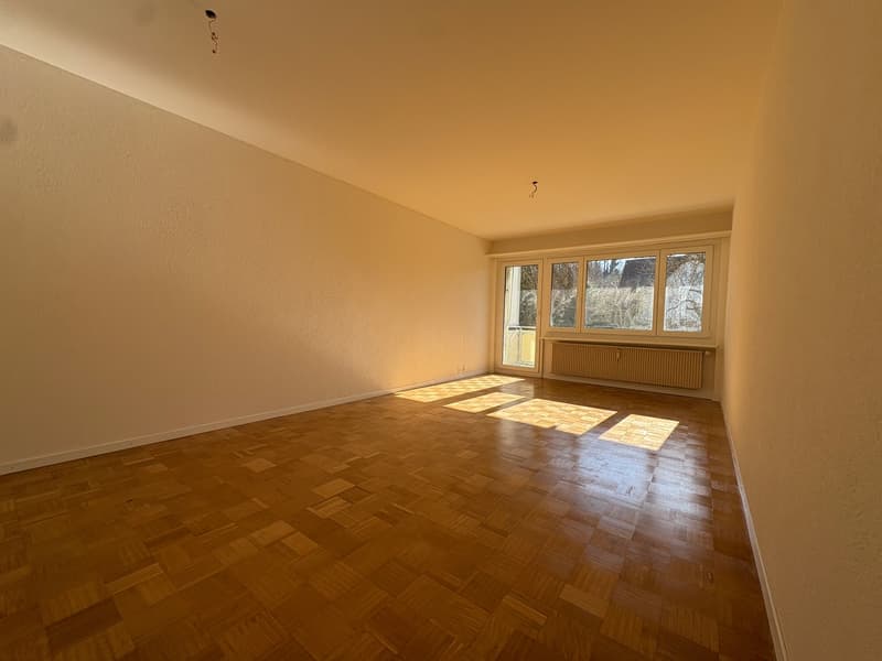 Renovated 3.5-room apartment in Burgdorf (4)