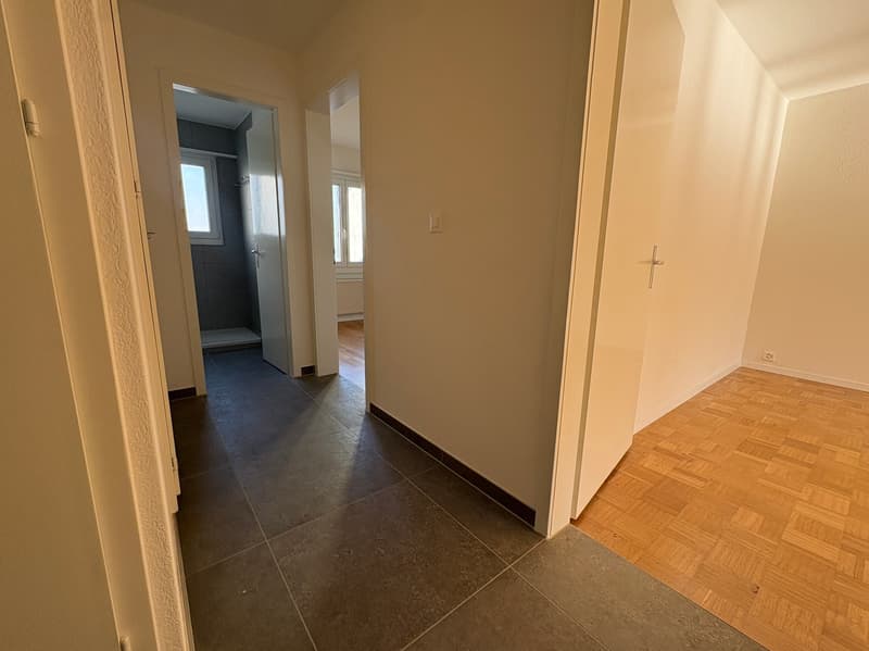 Renovated 3.5-room apartment in Burgdorf (8)