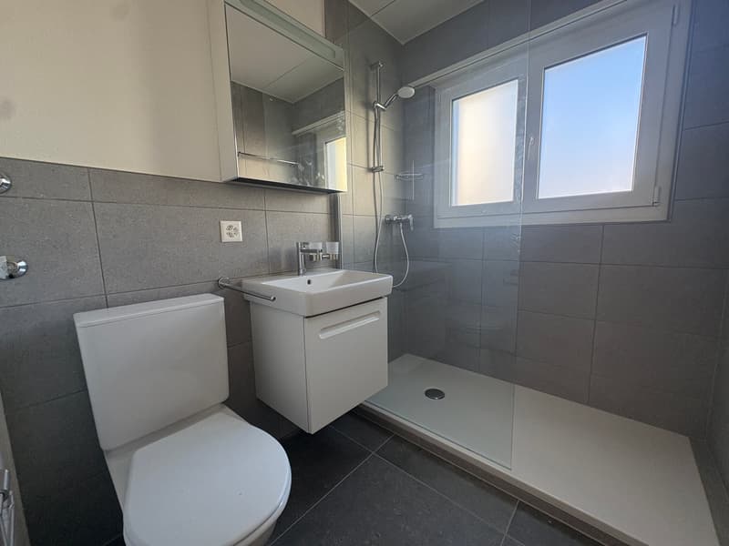 Renovated 3.5-room apartment in Burgdorf (6)