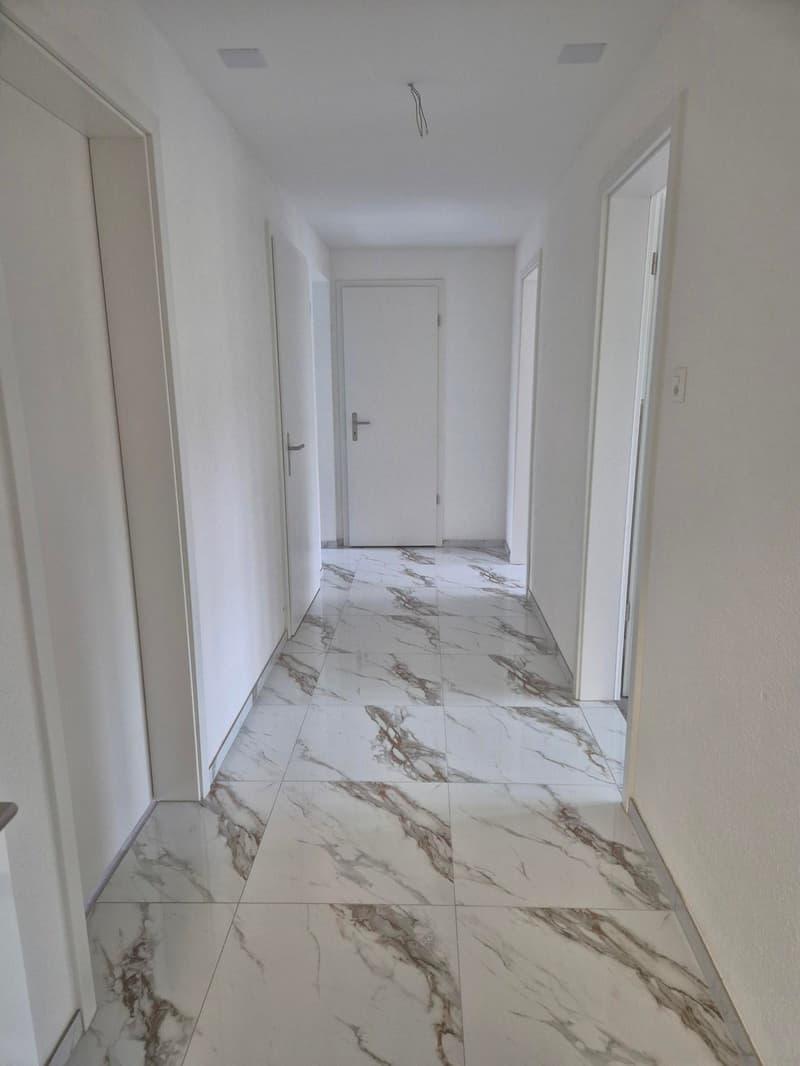 Modern/Renovated 3.5 Room Apartment in Biel-Bienne (BE) (3)